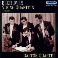 String Quartet No. 6 in B-Flat Major, Op. 18: IV. La Malinconia: Adagio - Allegretto quasi allegro