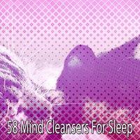 58 Mind Cleansers For Sleep