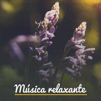 Música relaxante - Ideal Para Meditação, Spa, Sono, Relaxamento do Corpo e Alma