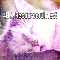 49 A Resourceful Rest