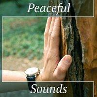 Peaceful Sounds – Music for Meditation, Healing Melodies, Sounds of Ocean, Nature Rest