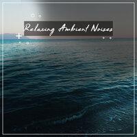 #14 Relaxing, Ambient Noises