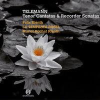 Telemann: Tenor Cantatas & Recorder Sonatas