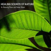 Healing Sounds of Nature & Relaxing Piano and Guitar Music for Meditation, Yoga, Relax and Sleep