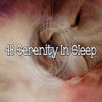 48 Serenity in Sleep
