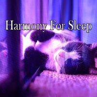 Harmony For Sleep