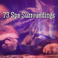 73 Spa Surroundings