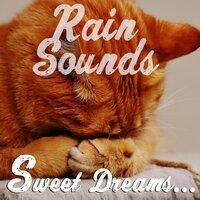12 of the Best Rain and Nature Sounds. A Compilation for Looping and Playlisting for Sleep