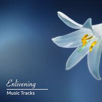 #2018 Enlivening Music Tracks for Sleep and Relaxation