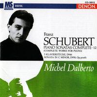 Schubert: Piano Sonatas Complete, Vol. 12