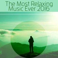 The Most Relaxing Music Ever 2016 – Sensual Nature Sounds, Spa Music to Relieve Stress, Calming Sounds to Relax, Relaxation Music, Thai Massage