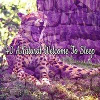 40 ANatural Welcome To Sleep