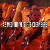 42 Meditative State Cleansers