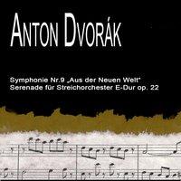 Symphony from the New World No.9; Serenade for Strings (Symphonie No. 9 Aus Der Neuen Welt; Streicher - Serenade)
