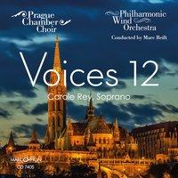 Voices 12
