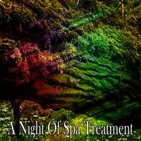 A Night Of Spa Treatment