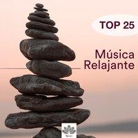 Top 25 Música Relajante para Dormir, Meditar, Pensamiento Positivo, Música Instrumenta de Relajacion para la Ansiedad y lograr la Serenidad