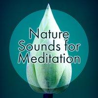 Nature Sounds for Meditation – Beautiful Music, Calm Sounds, Relaxing Vibes, Spirit Harmony