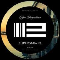 Euphonia 13
