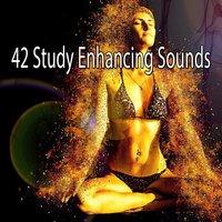 42 Study Enhancing Sounds