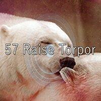 57 Raise Torpor