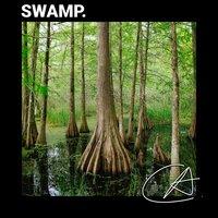 Nature Swamp Sounds