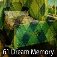 61 Dream Memory