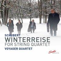 Winterreise, Op. 89, D. 911 (Excerpts Arr. A. Höricht for String Quartet)