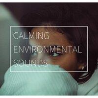 Calming Environmental Sounds: Relaxing Music to Lower Cardiovascular Stress