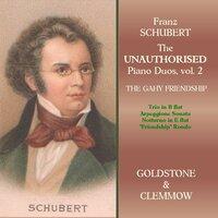 Schubert: The Unauthorised Piano Duos, Vol. 2