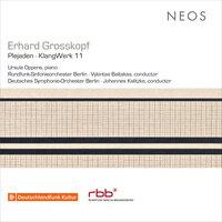 Erhard Grosskopf: Plejaden, Op. 56 & KlangWerk 11, Op. 64