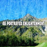 48 Portrayed Enlightenment