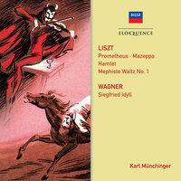 Liszt: Symphonic Poems; Wagner: Siegfried Idyll