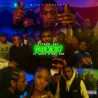 Sorry  [Wiley Presents Lickle Jay]