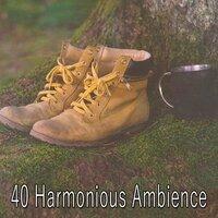40 Harmonious Ambience