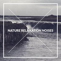 Nature Relaxation Noises: 2020 Mix of Music with Nature Sounds, Collection of Tracks for Full Relaxation, Rest, Calm Down, Fight with Bad Thoughts