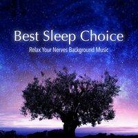Best Sleep Choice - Relax Your Nerves Background Music