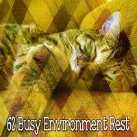 62 Busy Environment Rest