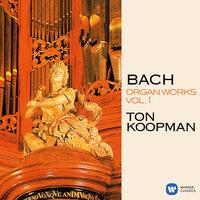 Bach: Organ Works, Vol. 1 (At the Organ of the Great Church of Maassluis)