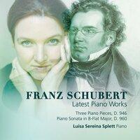 Schubert: Latest Piano Works