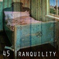 45 Tranquility