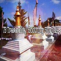 73 Tranquility Soothing Sounds