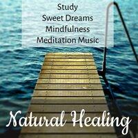 Natural Healing - Study Sweet Dreams Mindfulness Meditation Music to Manage Stress with Sounds of Nature and Instrumental