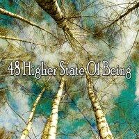 48 Higher State of Being