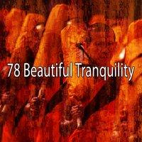 78 Beautiful Tranquility