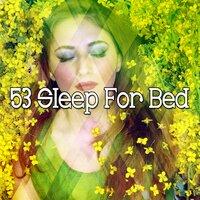 53 Sleep for Bed