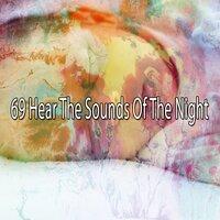 69 Hear the Sounds Of the Night
