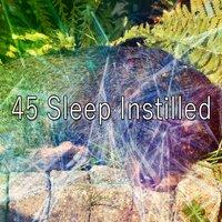 45 Sleep Instilled