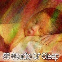 55 Studio of Sleep