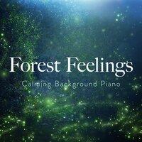 Forest Feelings- Calming Background Piano